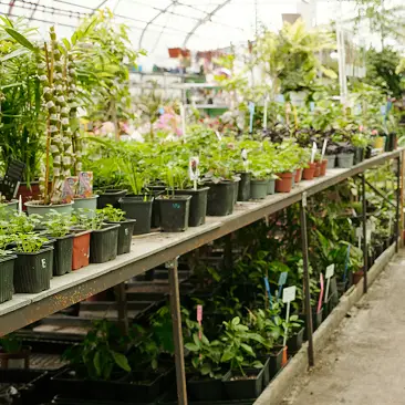 Gartencenter